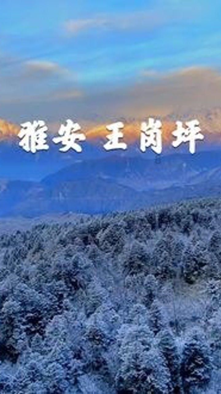 逃离沙漠建筑