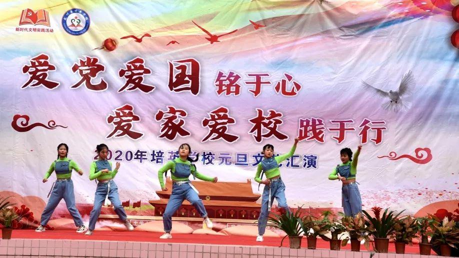 寻找萌小老虎